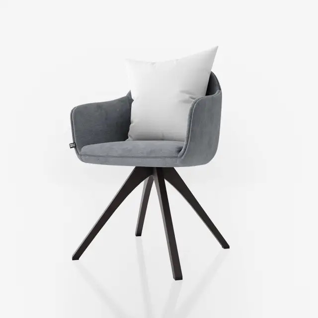 Lounge Accent Chair for Living Room